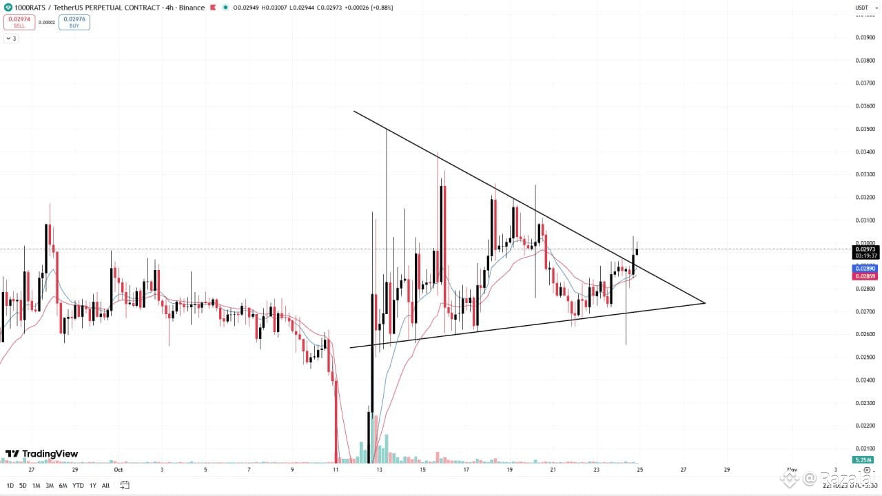 Latest #1000ratsusdt News, Opinions and Feed Today | Binance Square