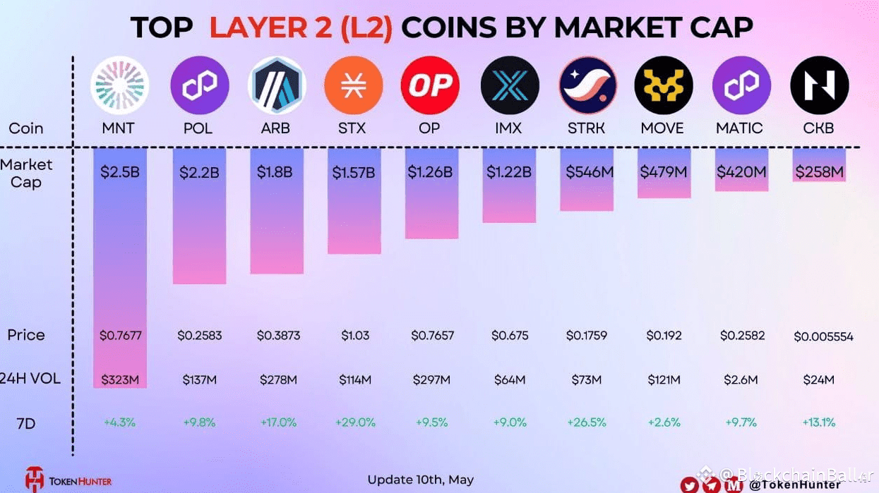 Latest #mnt News, Opinions and Feed Today | Binance Square