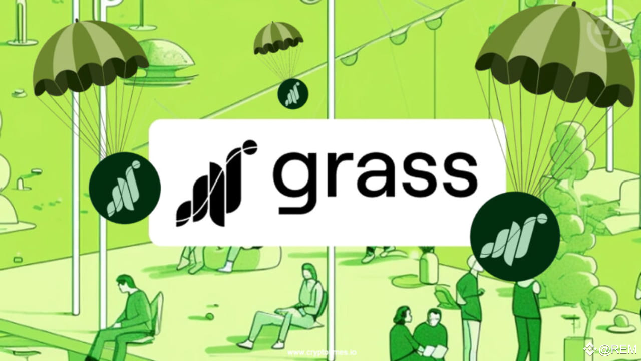 grass is starting to generate income | REM on Binance Square
