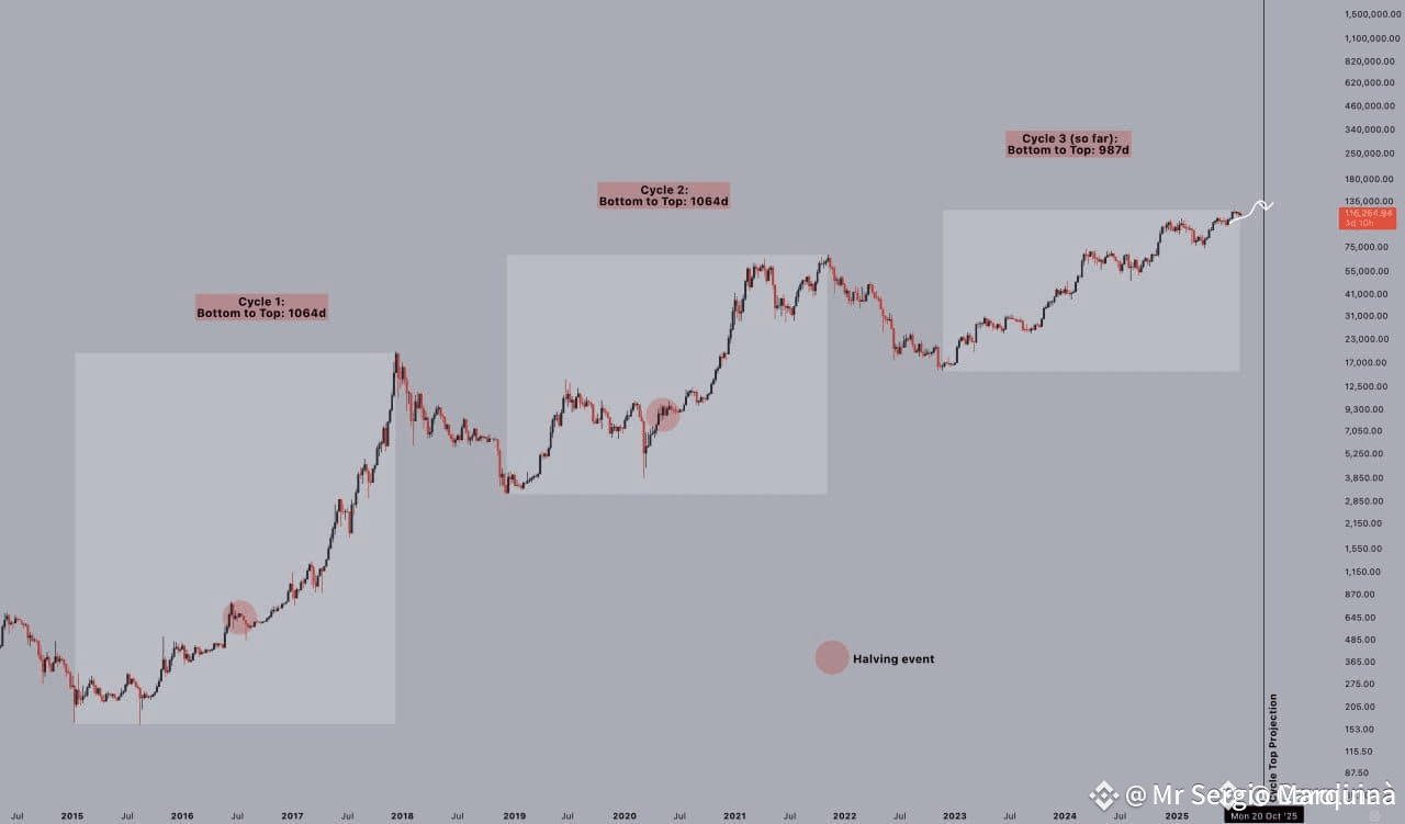 🔁 1064 Days: The Hidden#bitcoin Cycle Signal? | PROFITSPILOT25 on Binance  Square
