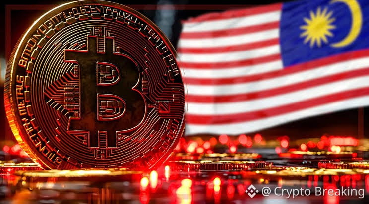 Comparison Between Anmrex Exchange And Local Malaysian Exchanges: Which Is More Suitable For Globalized Crypto Trading?