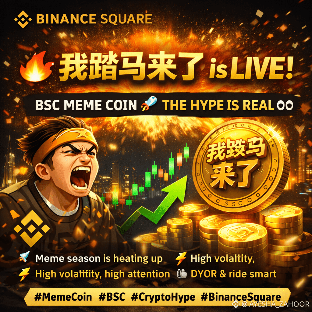 🔥 $我踏马来了 is LIVE! 🔥 From viral Chinese meme to a BSC | AYESHA_ZAHOOR on  Binance Square