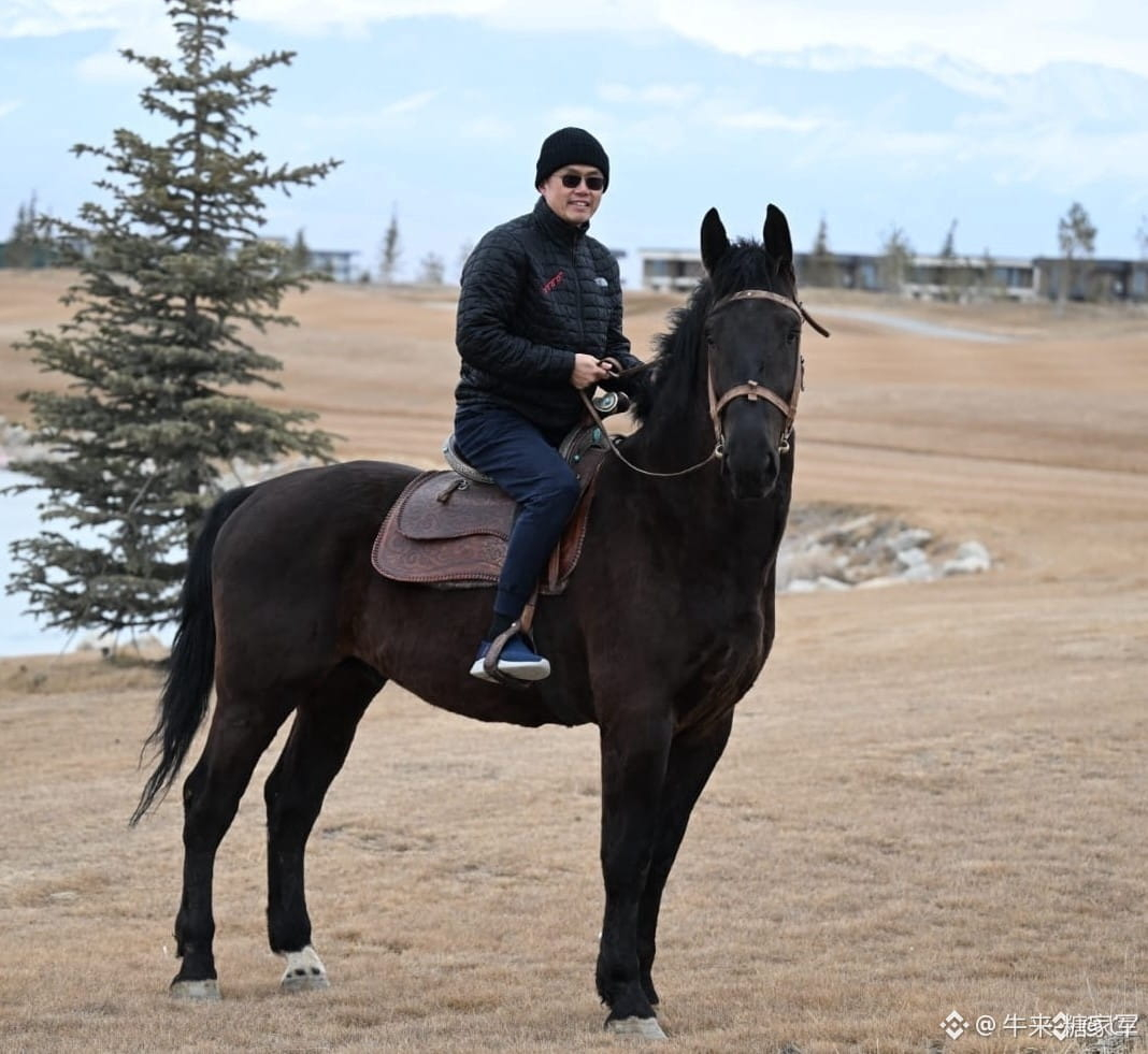 I'm here $Black Horse $哭哭马In the Year of the Hors | 牛来咯on
