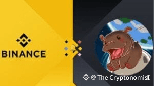 Moo Deng’s 10x Rally Post-Binance Alpha Debut Sparks Binance Spot Listing Speculation