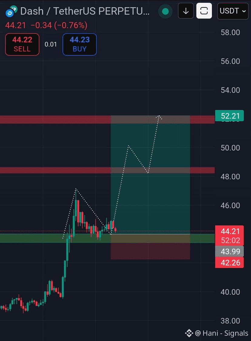 DASH LONG ALERT 🚨 Very strong optimistic. All the major tr | Hani -  Signals on Binance Square