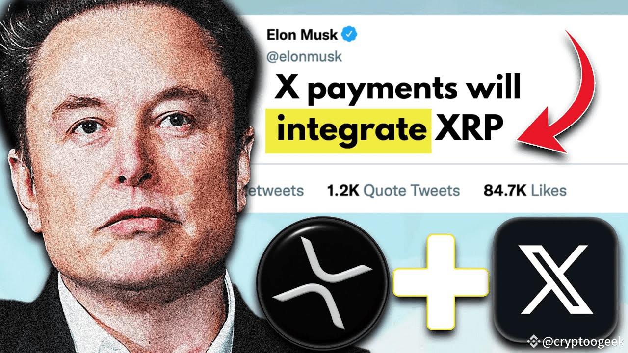 Are Elon Musk, the IMF, and the World Bank Setting the Stage for XRP in The  Global Financial System? | THE MOON TRADERS on Binance Square