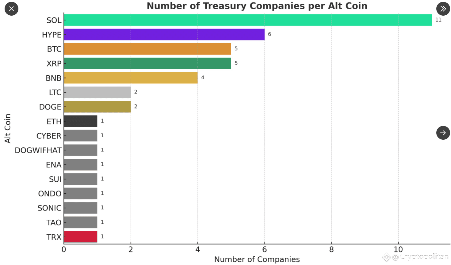 BONK, IP, SUI: altcoin treasuries gaining speed as crypto market heats up