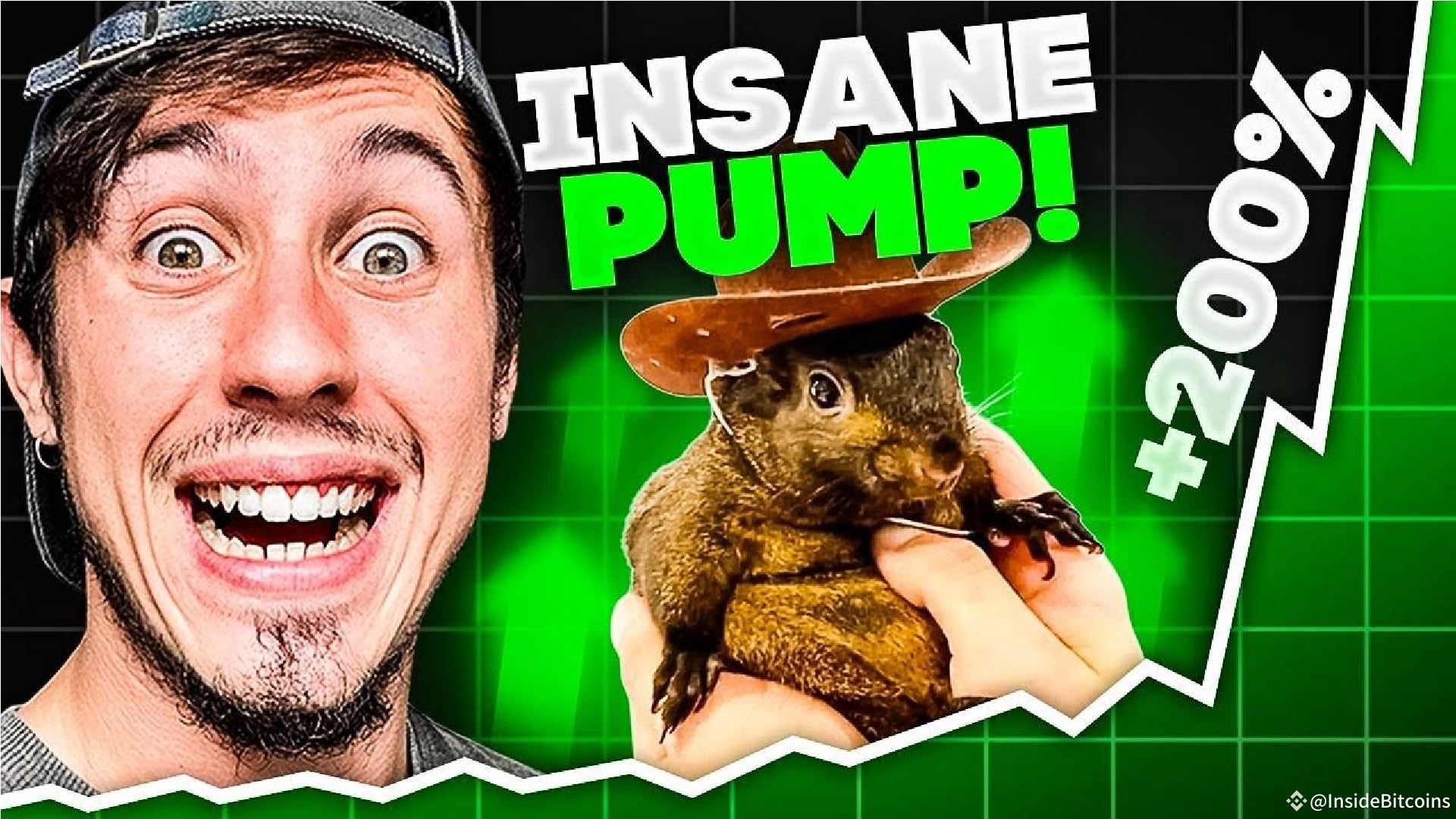 Peanut the Squirrel Price Prediction – Is $PNUT the Next Dogecoin? |  InsideBitcoins on Binance Square