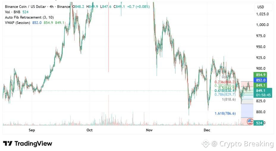 Bnb Shows Renewed Strength After Reclaiming Key Support Zone