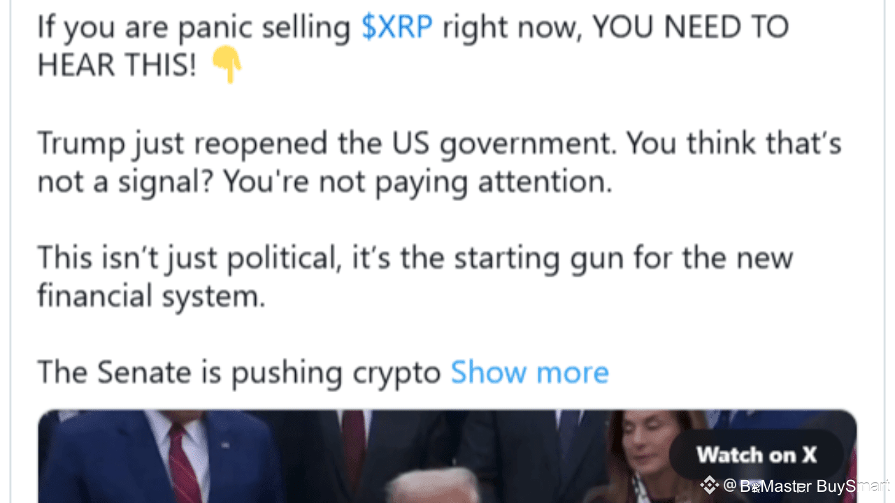 Pundit: If You Are Panic Selling XRP Right Now, You Need to Hear This |  BeMaster BuySmart on Binance Square