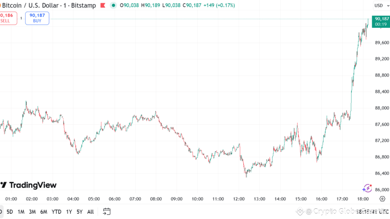 Bitcoin Snaps Back to $90,000, Affirming Pre-Holiday Dead Cat Bounce Legend  | Crypto Globe Gazette on Binance Square