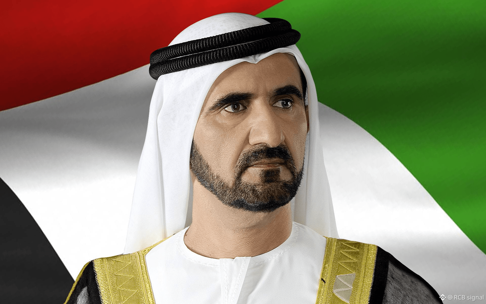 net worth of ruler of uae - Ilustrasi 2