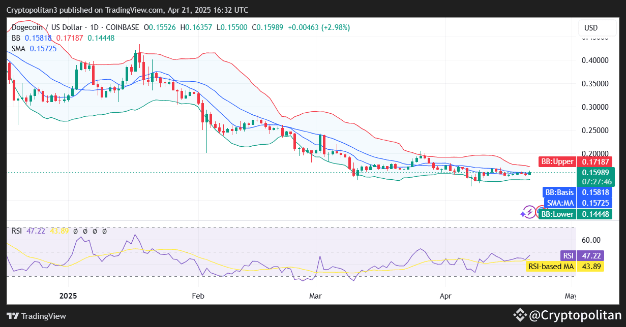 Dogecoin price prediction 2025-2031: DOGE to the moon? | Cryptopolitan on  Binance Square