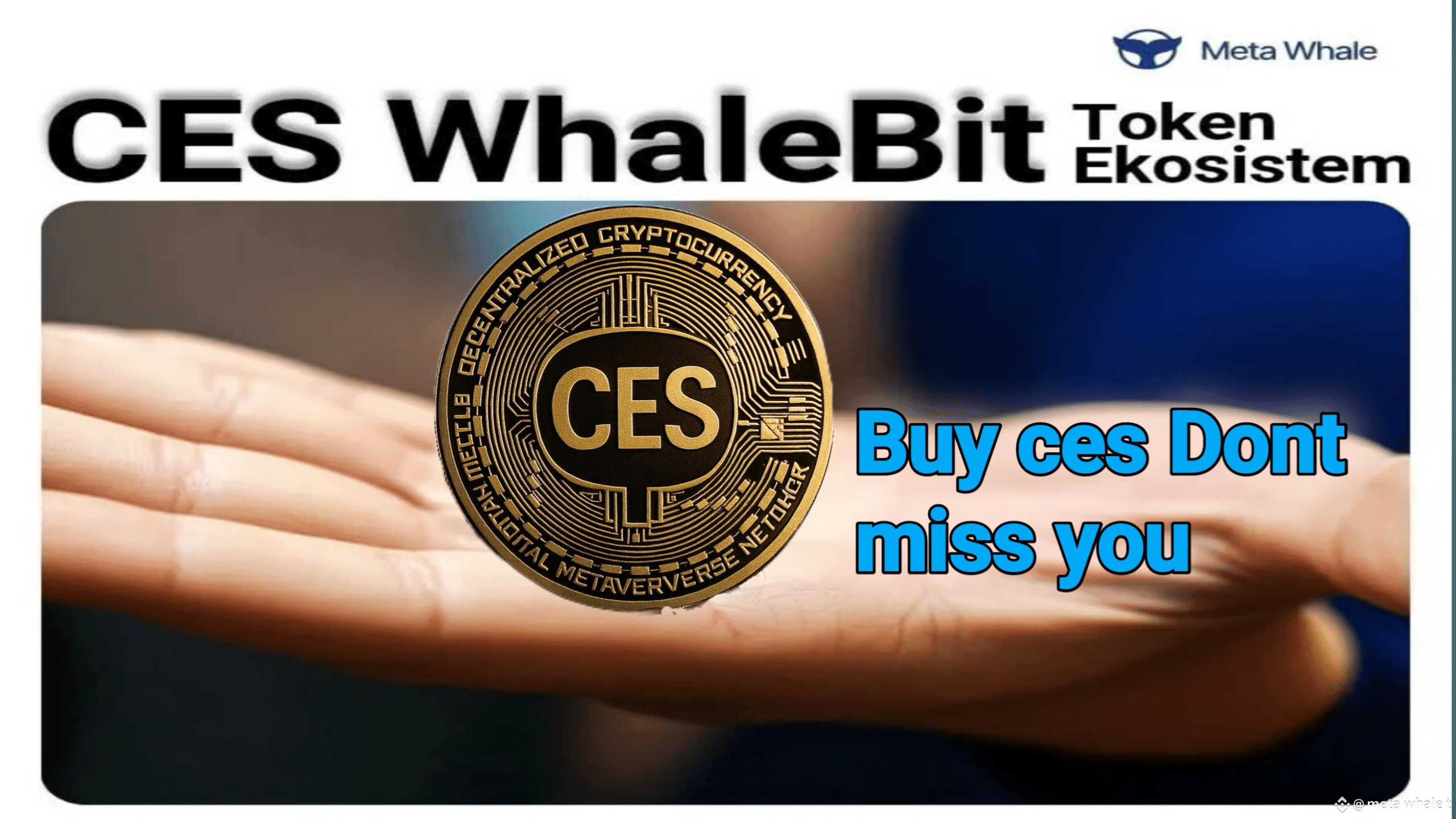 Latest #metawhale News, Opinions and Feed Today | Binance Square