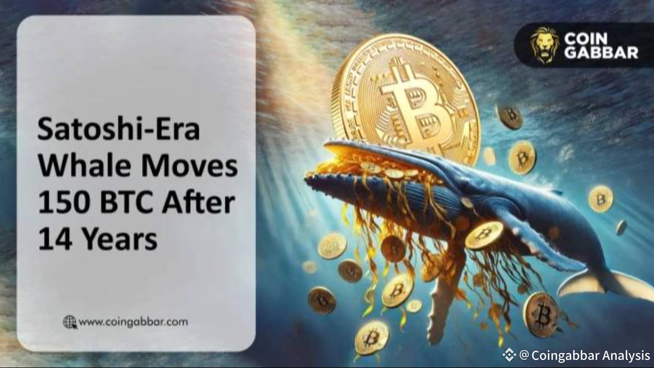 Latest #bitcoinwallet News, Opinions and Feed Today | Binance Square