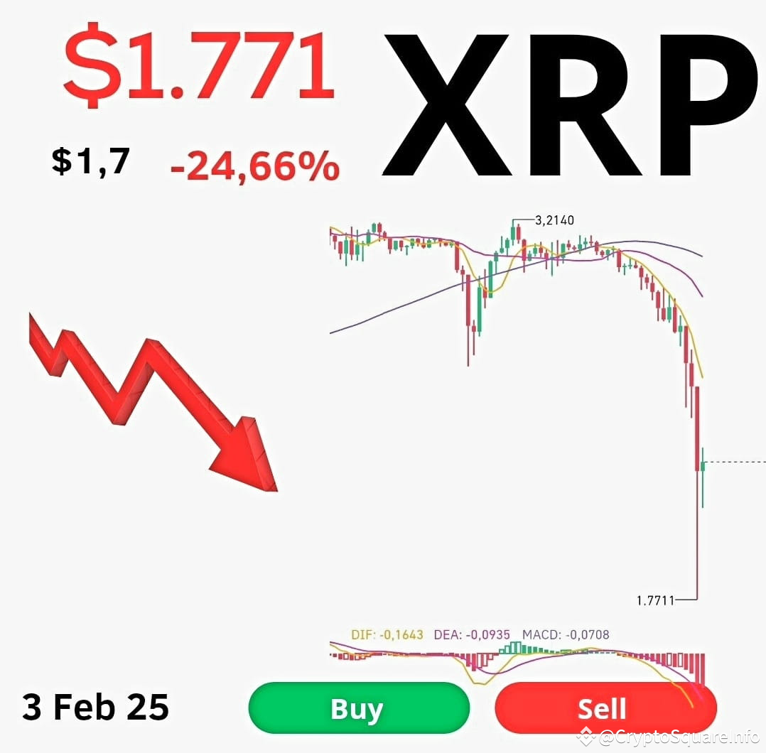 🚨 BREAKING 🚨 Why Did XRP Crash? Uncover the Full Story