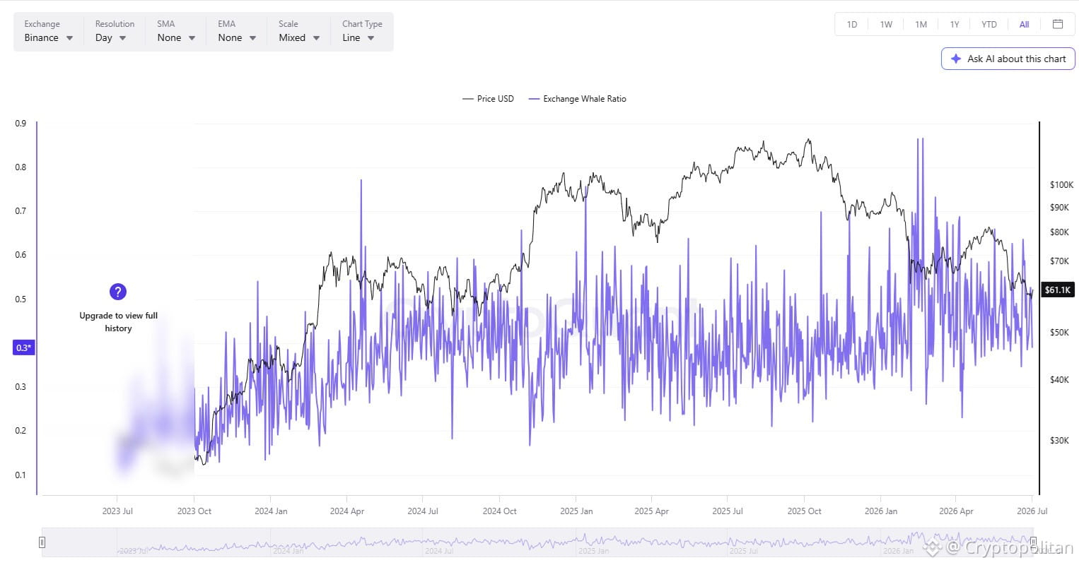 What will drive retail traders back to crypto? 