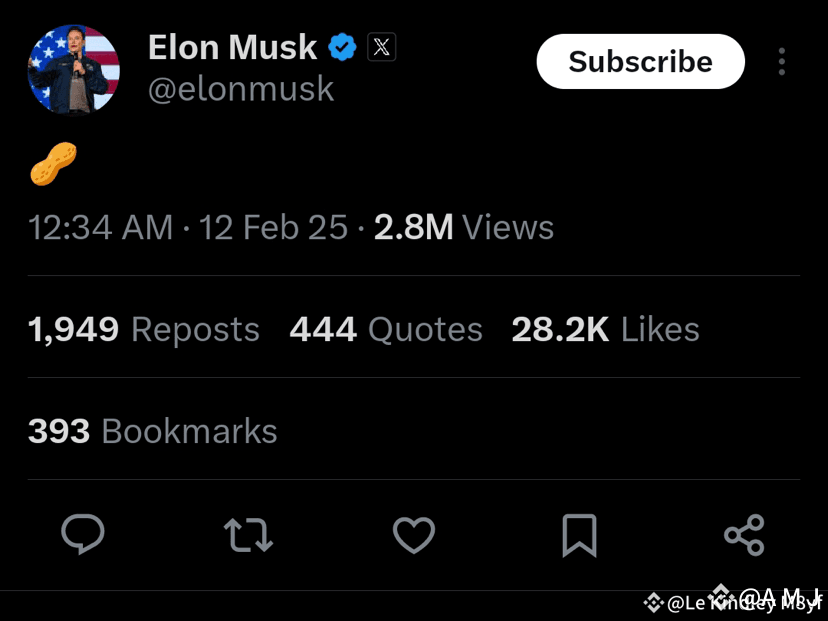 PNUT elon posted about PNUT. buy before its too late A M J on