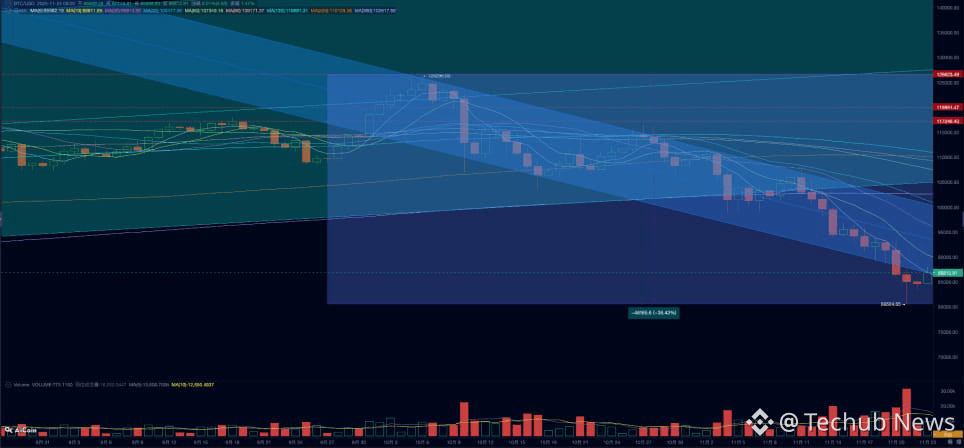 内外交困，BTC现崩溃式暴跌，12月降息或成唯一转机（11.17~11.23）