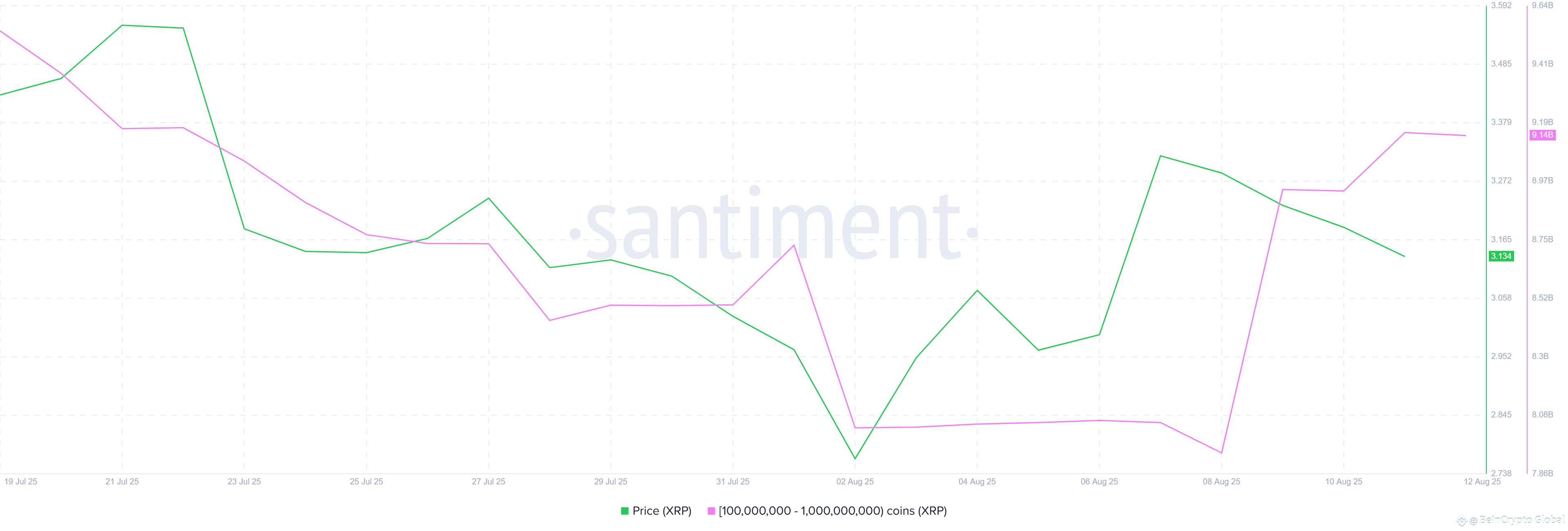 XRP Whale Holdings