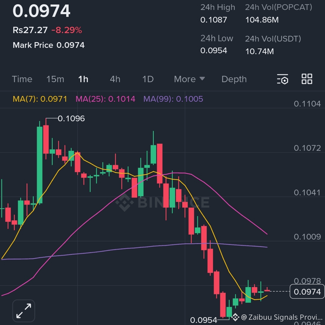 Latest #popcat News, Opinions and Feed Today | Binance Square