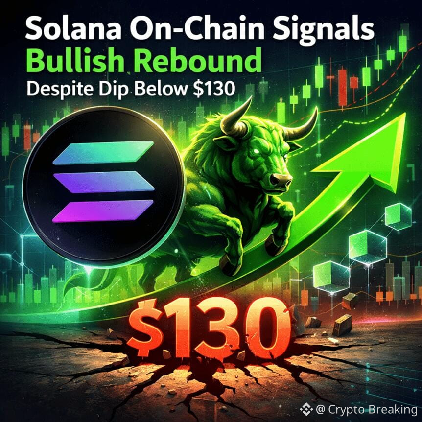 Solana On-Chain Signals Bullish Rebound Despite Dip Below $130