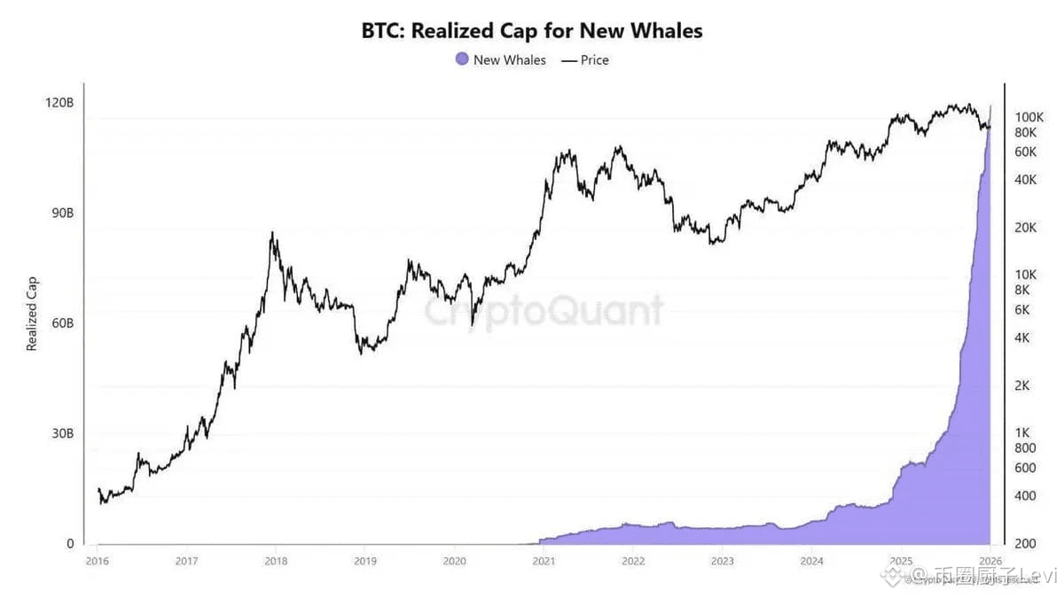 加密市场观察$BTC 巨鲸最近购买比特币记录创新高了超过10万个BTC新生巨鲸囤积了超1200亿美元的BTC资产| 币圈厨子Levi على  Binance Square