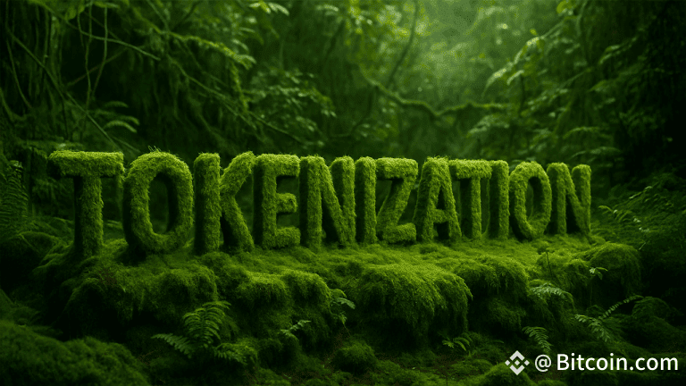 Green Energy for Everyone: Tokenization Lowers Barriers to Sustainable Investing