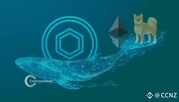 Whale’s $21.25M Chainlink Bet Signals Potential Bull Run