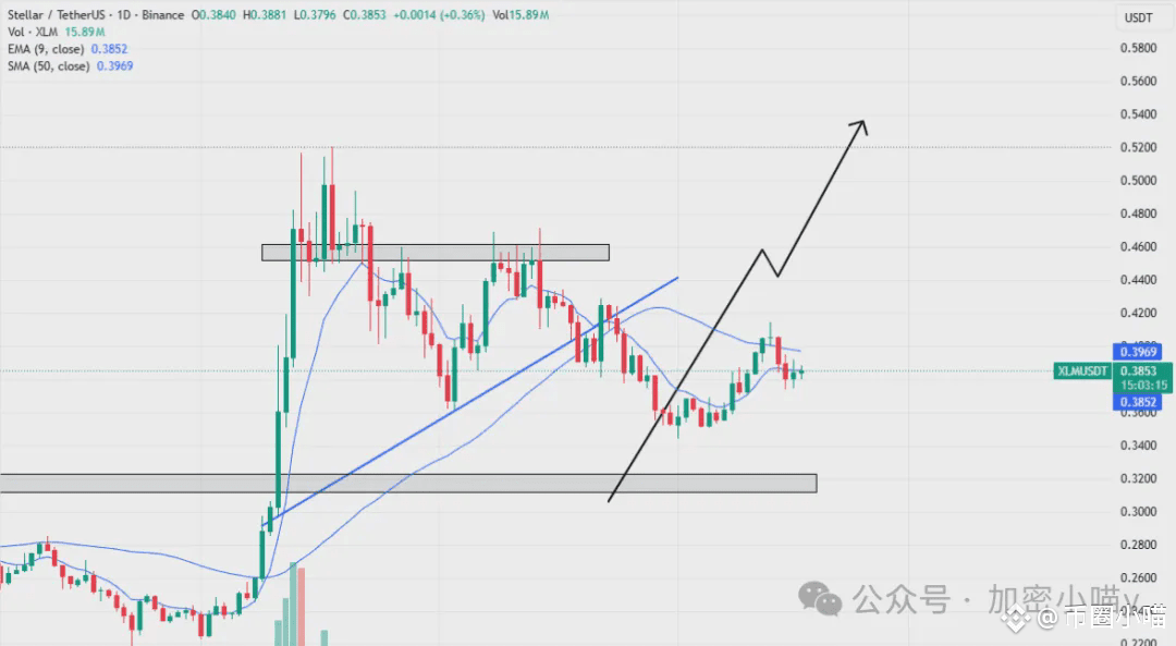 决战降息夜？比特币暴涨还是血洗？巨鲸80亿狂扫DOGE，币安系全线异动！山寨要稳不住了？代币全攻略来了