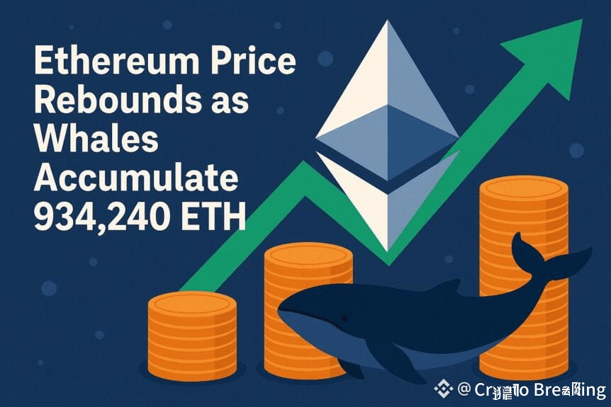 Ethereum Price Rebounds As Whales Accumulate 934,240 Eth