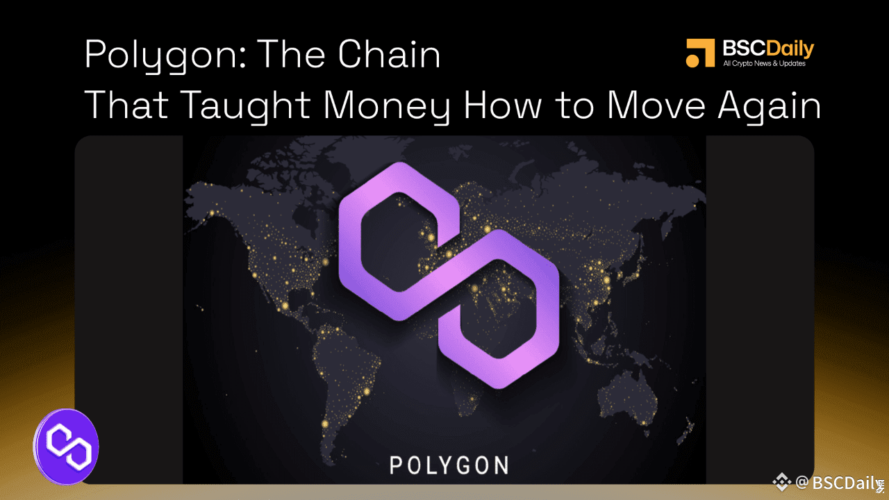Polygon: The Chain That Taught Money How to Move Again | BSCDaily в Binance  Square