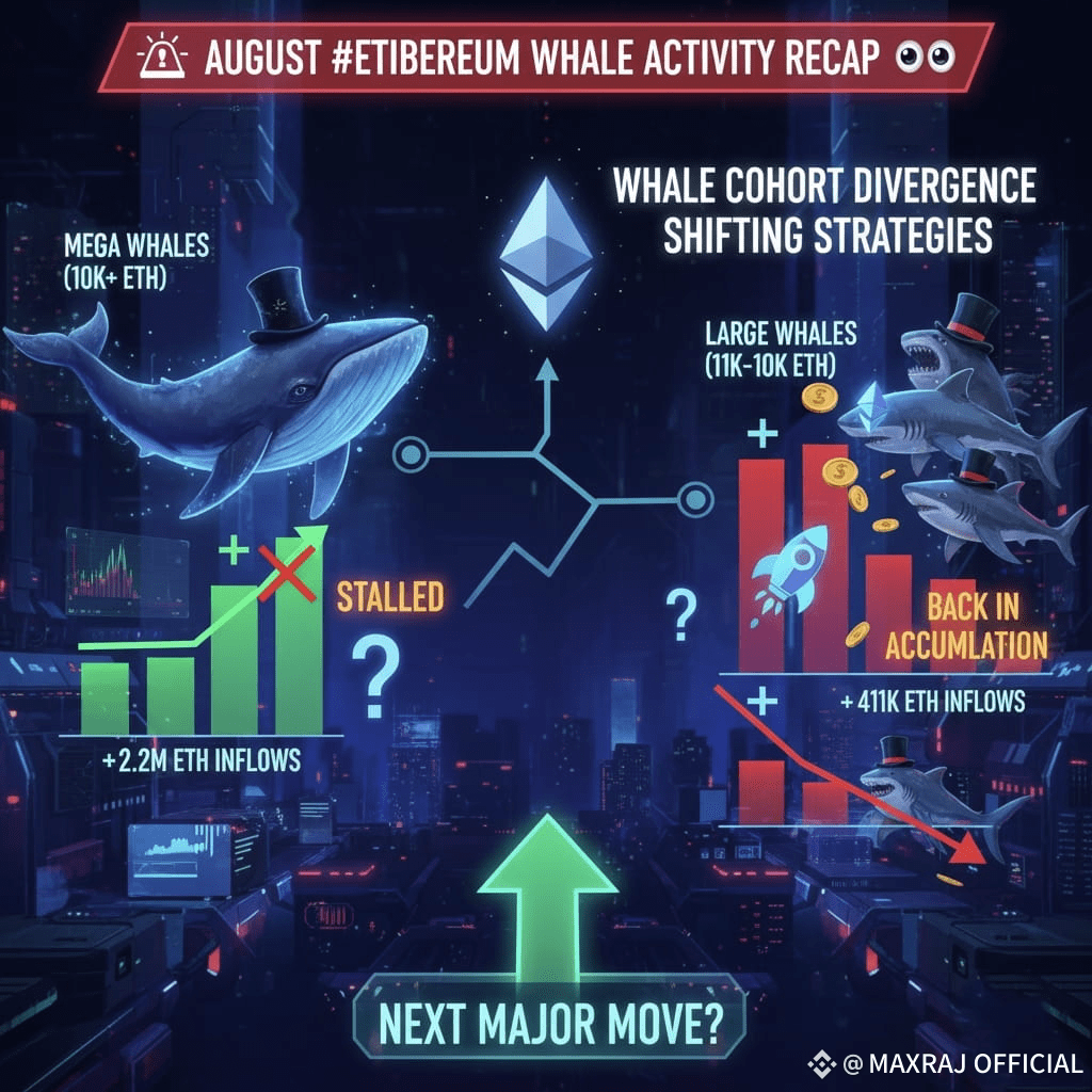 📊 August #Ethereum Walaktivitätsübersicht 🐋 Mega-Wale ( | RAJ_BNB auf  Binance Square