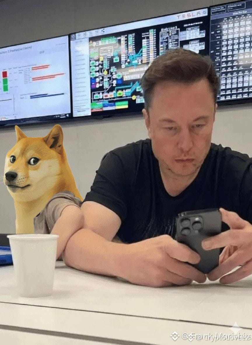 Latest #dogecoin News, Opinions and Feed Today | Binance Square