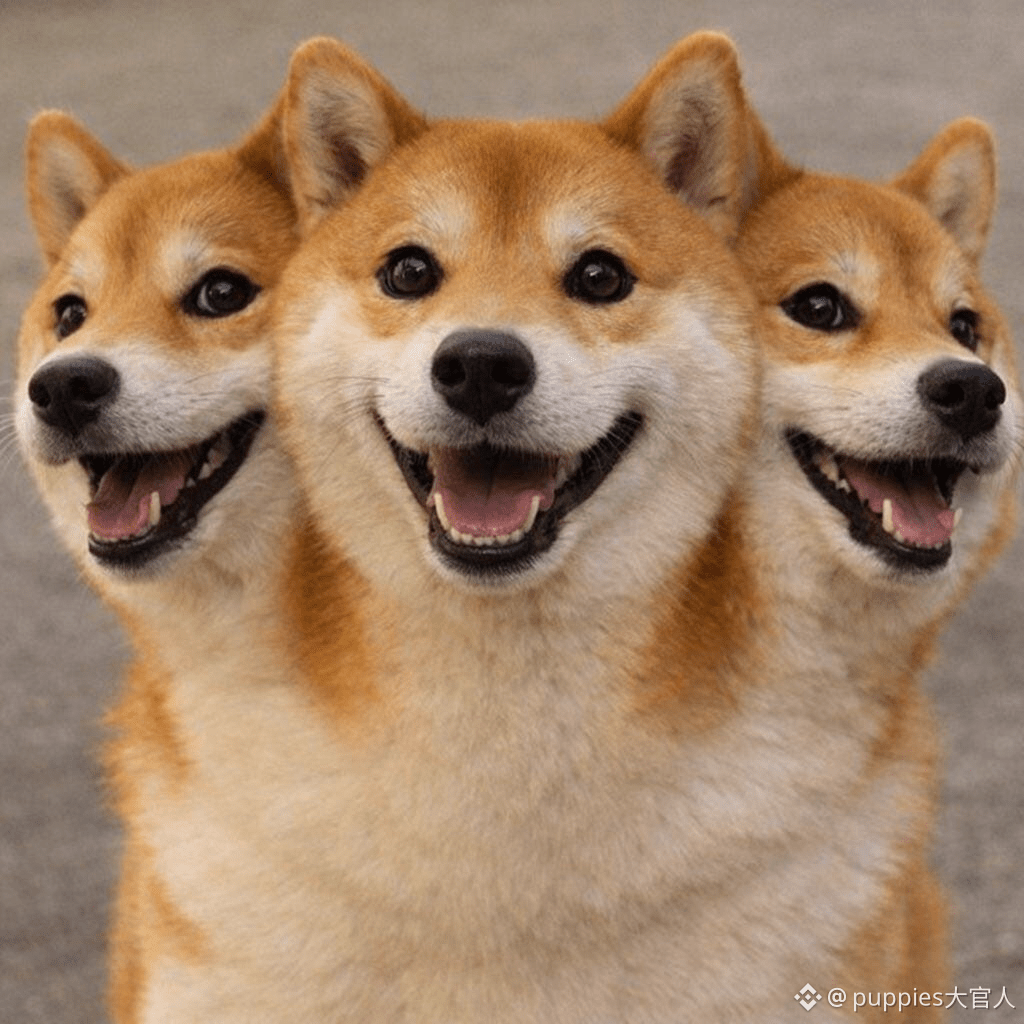 🐶狗狗币，再次伟大！MEME币的王者领袖🚀 #马斯克的🐶p🐶u🐶p🐶p🐶i🐶e🐶s 谁再说狗狗币只| puppies大官人على  Binance Square