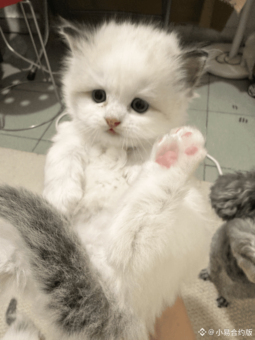 広場でまだ誰かがショートポジションを持っているのを見た 二文字、爽 $ETH | 小易合约版 － Binance Square