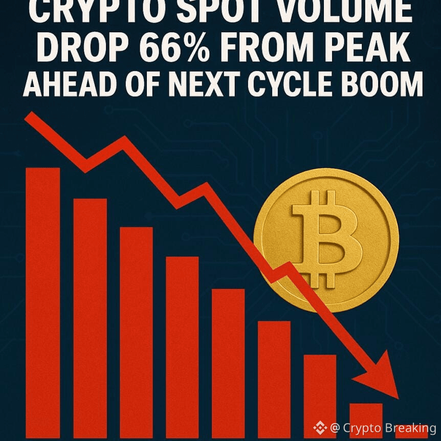 Crypto Spot Volumes Drop 66% From Peak Ahead Of Next Cycle Boom