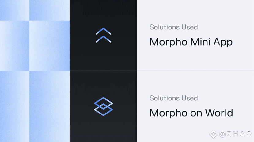 MORPHO : Le prêt DeFi grandit enfin pour devenir un système | Z H A O ...