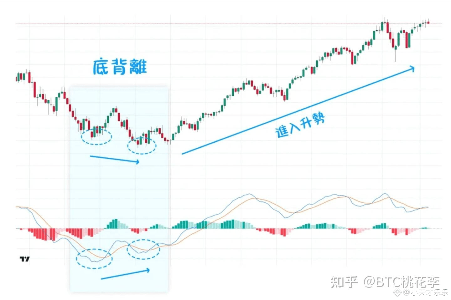 有一个最笨的炒币方法，几乎100%盈利。我就是用这个方法赚了4000多w！ | 小天才乐乐发布于币安广场