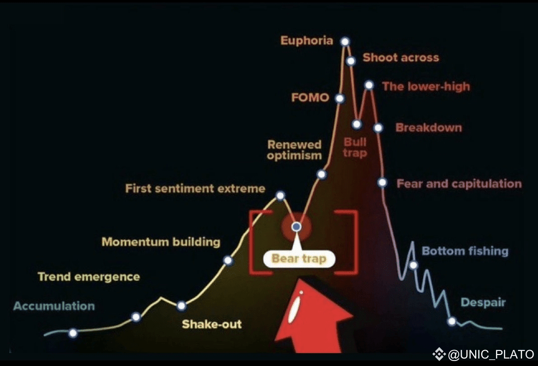 🔥👀|| The Biggest Crypto Bull run ever starts April 2025.🈯️✅️ |  UNIC_PLATO on Binance Square