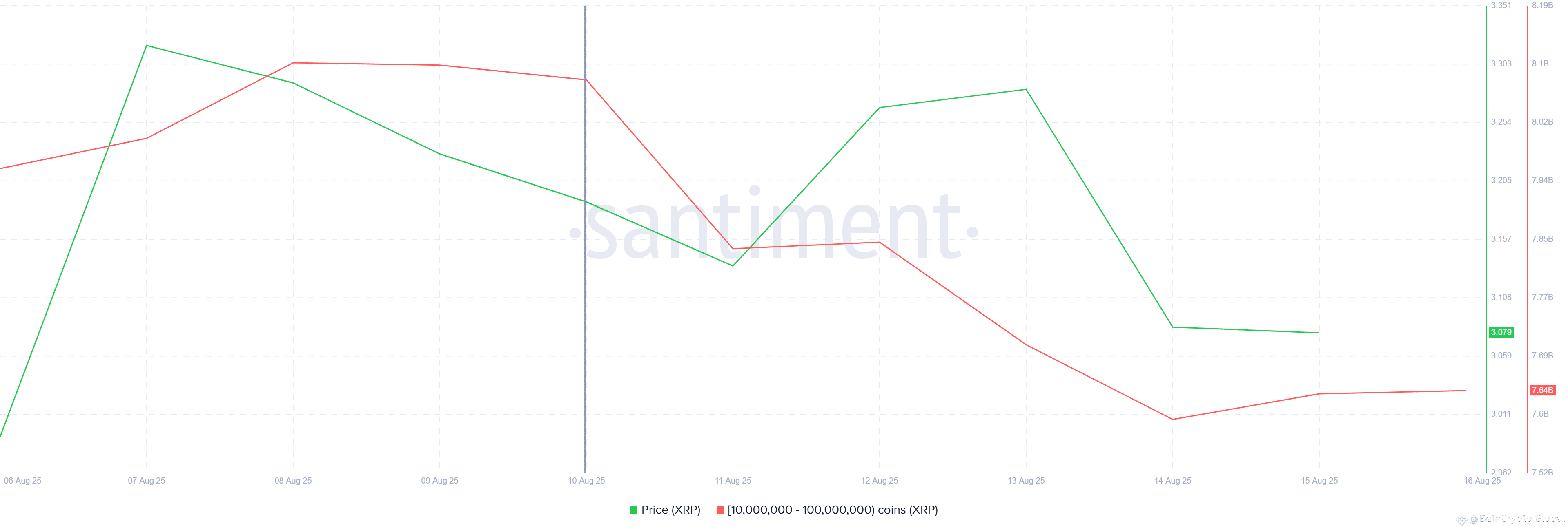 XRP Whale Holdings