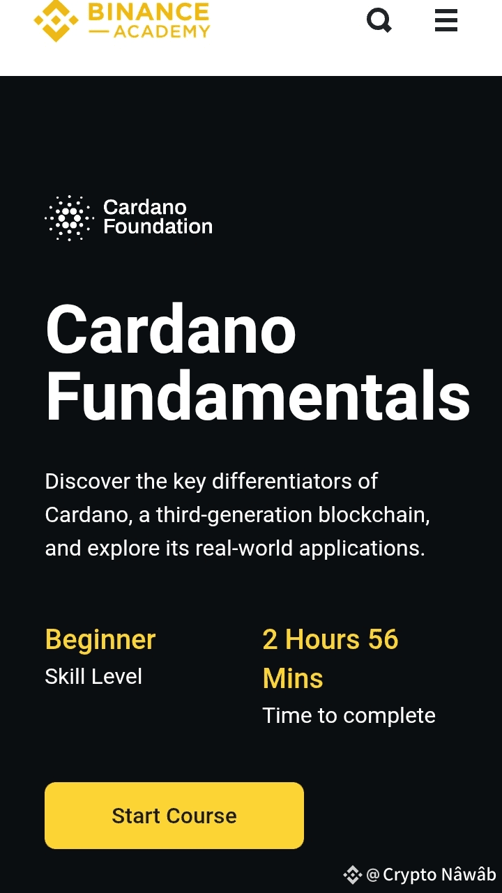 BinanceAlert 🚨 Complete the new Cardano Fundamentals | Çryptō Eyë7 on  Binance Square