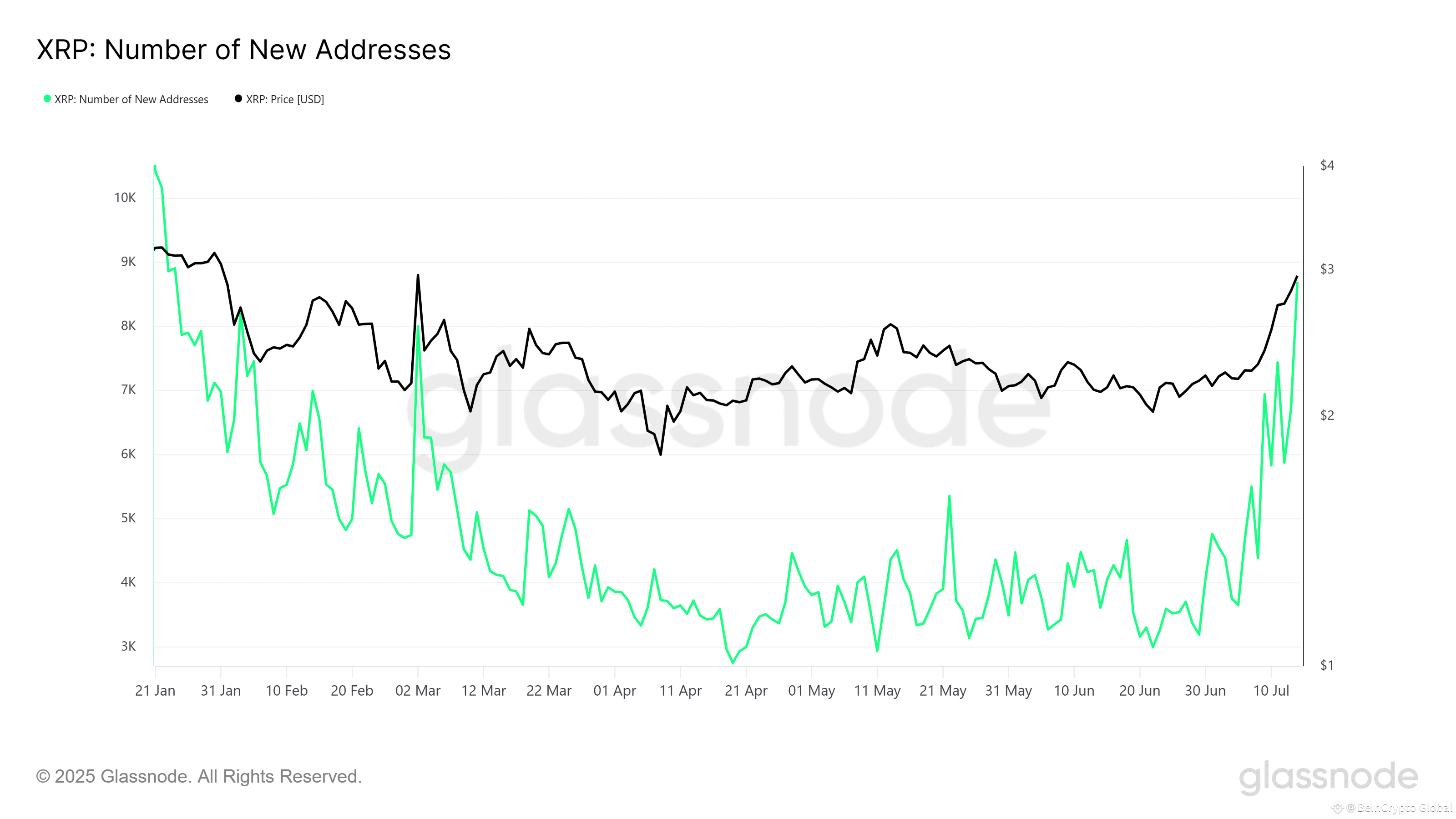 XRP New Addresses