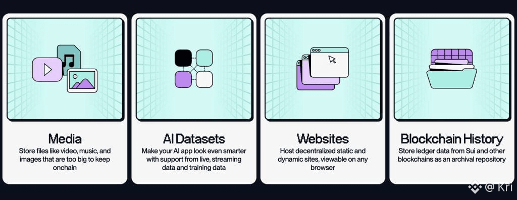 Applications of Walrus Protocol