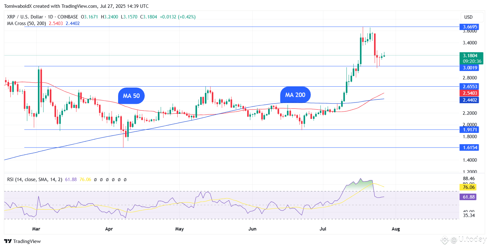 TradingView