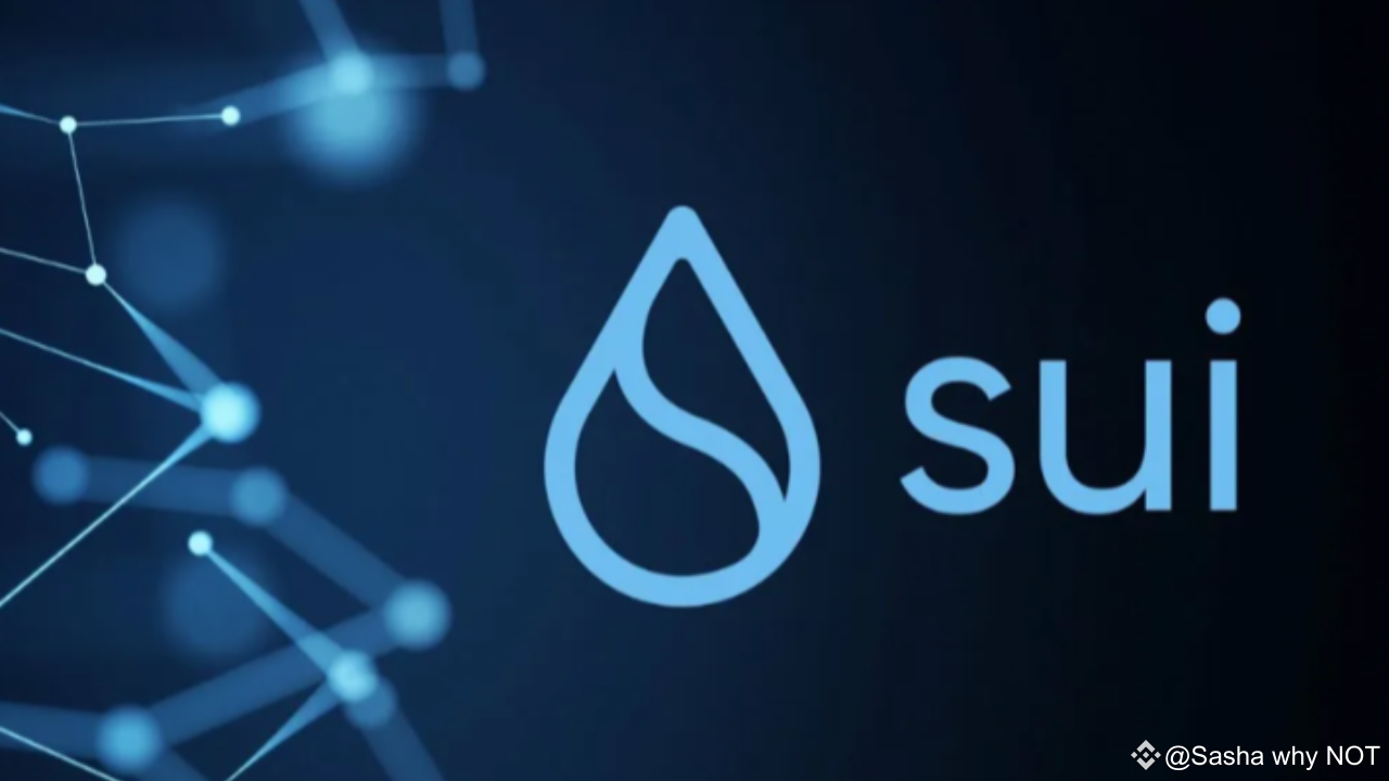 Raoul Pal: The Key Chart Defines the Future of Cryptocurrency | Sasha why  NOT on Binance Square