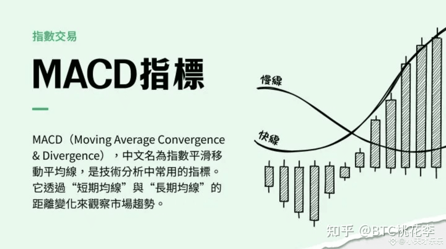 有一个最笨的炒币方法，几乎100%盈利。我就是用这个方法赚了4000多w！ | 小天才乐乐发布于币安广场