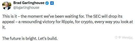 XRP Bull Case Strengthens as ETFs, Treasury Adoption, and On-Chain Utility Converge