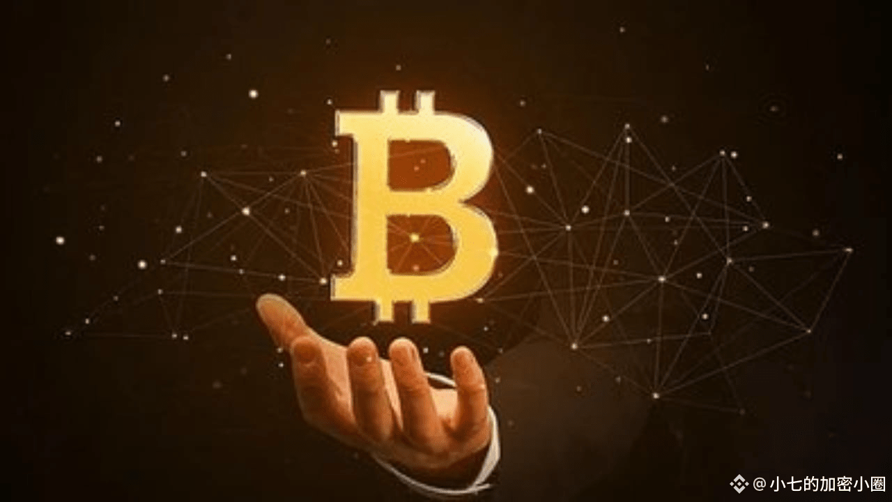 小七的加密小圈的个人资料| 币安广场