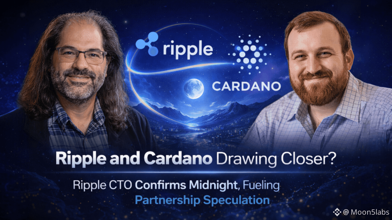 Ripple and Cardano Drawing Closer? Ripple CTO Confirms Midnight, Fueling  Partnership Speculation | Moon5labs on Binance Square